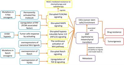 An Extensive Review on Preclinical and Clinical Trials of Oncolytic Viruses Therapy for Pancreatic Cancer